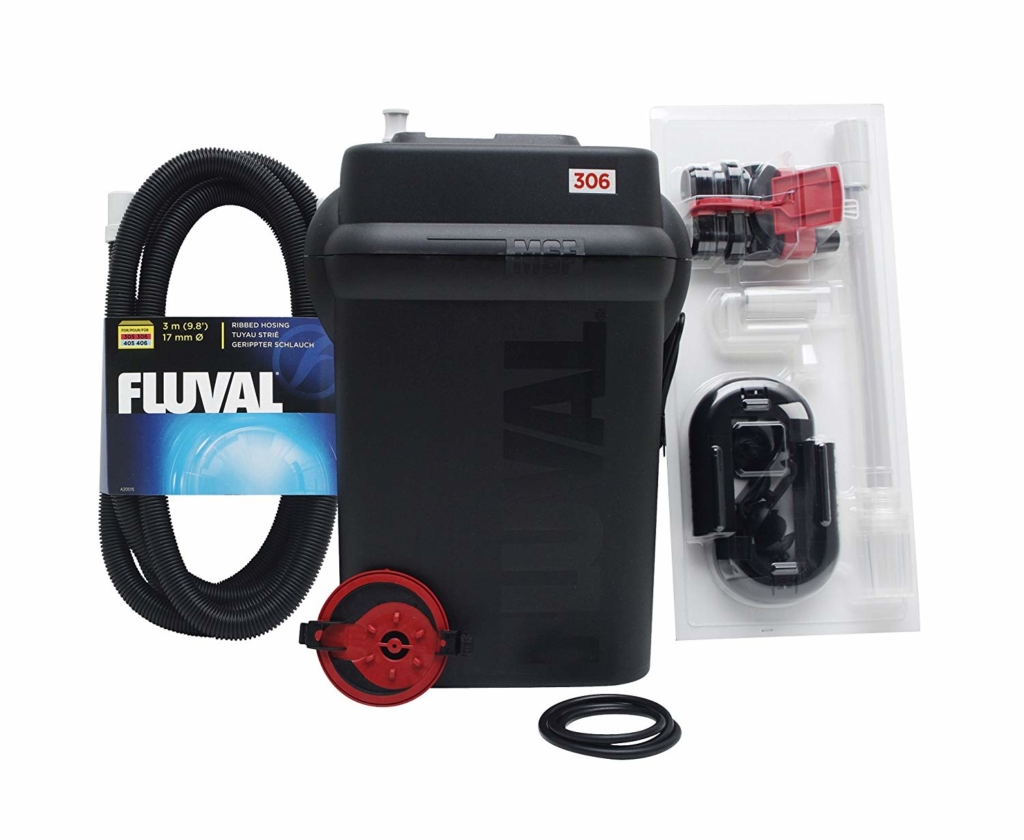 Can You Use Goldfish as Bait? Fishing Mood