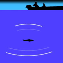 fishfinder2