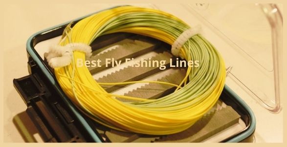Best Fly Fishing Lines