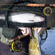 How to Choose the Right Fly Line Weight? fly line weight