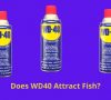Does WD40 Attract Fish