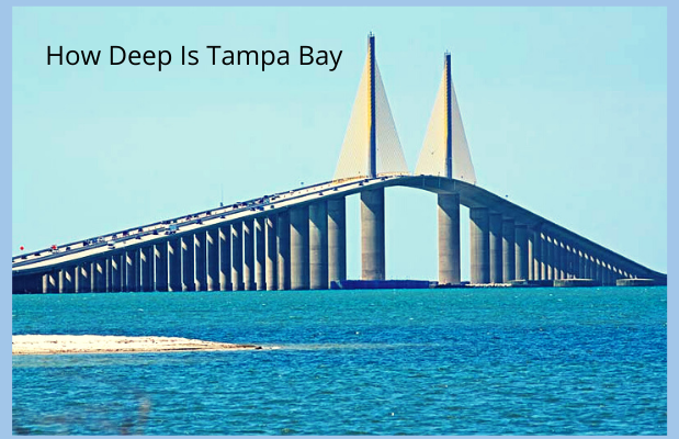 How Deep Is Tampa Bay?