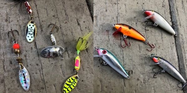 Ultralight Fishing: 5 Proven Trout Lures For Winter
