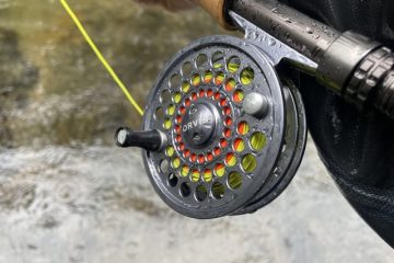 Can You Use Wd40 on Fishing Reels