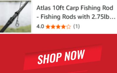 Atlas 10ft Carp Fishing Rod