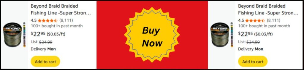 Beyond Braid Braided Fishing Line