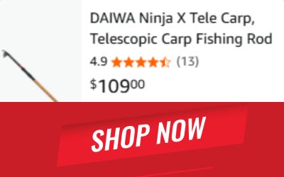 DAIWA Ninja X Tele Carp, Telescopic Carp Fishing Rod
