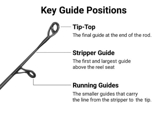 Fishing Rod Guides Explained: How to Choose the Right Type - Fishing ...