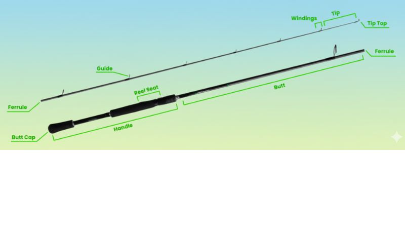 Labeled Diagram of a Fishing Rod