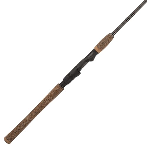 Best Baitcasting Rod for Trout
