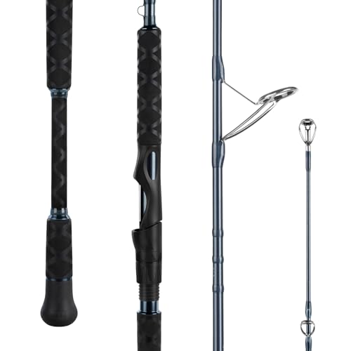 Best Saltwater Spinning Rod