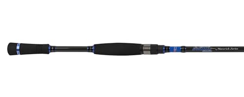 Best Spinning Rod for Bass Fishing