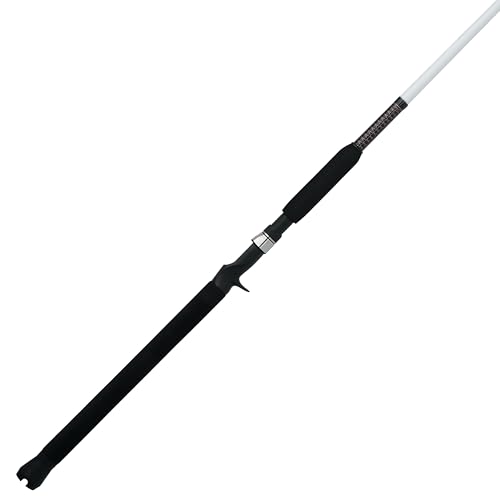 Best Spinning Rod for Catfish