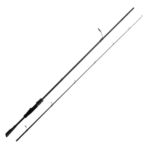 Best Spinning Rod for Smallmouth Bass