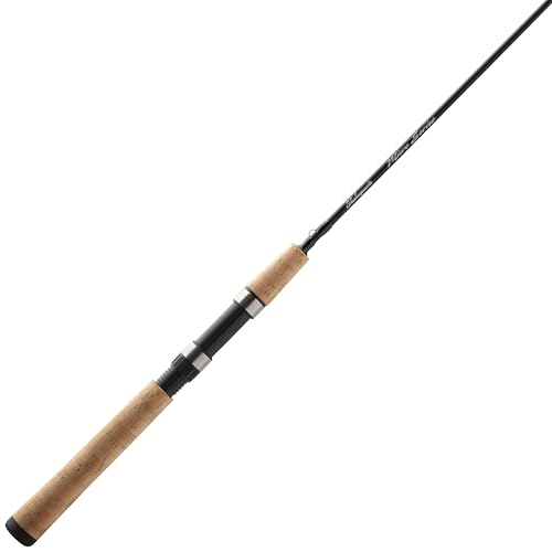 Best Spinning Rod for under 100