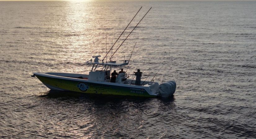 A Fishing Guru – Offshore 
