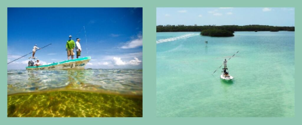 Inshore / Flats Fishing